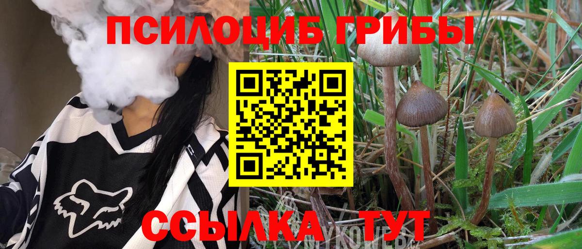Галлюциногенные грибы Magic Shrooms Зерноград